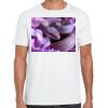 Mens Softstyle Tee Shirt Thumbnail