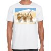 Mens Softstyle Tee Shirt Thumbnail